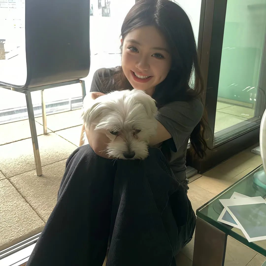 好莱坞以北